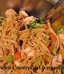Блюда из брокколи. Китайская лапша с курицей и овощами в воке (stir-fry)