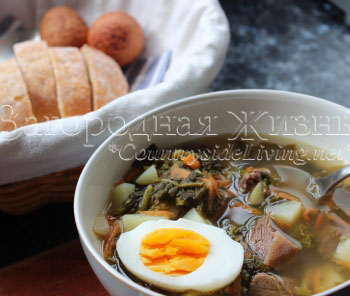 Щавелевый суп с яйцом (зеленые щи), рецепт и фото