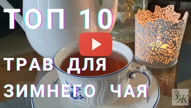 Лучшие травы для зимнего травяного чая. Видео ЗАГОРОДНОЙ ЖИЗНИ. Лучшие травы для зимнего травяного чая. Видео ЗАГОРОДНОЙ ЖИЗНИ.