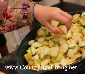 Крамбл (крамбль), рецепт. Яблочный крамбл. Дочка режет яблоки для крамбла из яблок