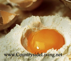 Яйцо куриное. Польза, калорийность, качество, размер, цвет желтка яйца
