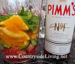 Pimm's. Пиммс. Приготовление коктейля (напитка, крюшона) в графине