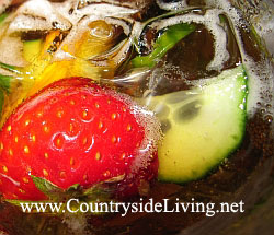 Pimm's. Пиммс. Английский летний алкогольный коктейль (крюшон, напиток) Pimm's. Пиммс. Английский летний алкогольный коктейль (крюшон, напиток)