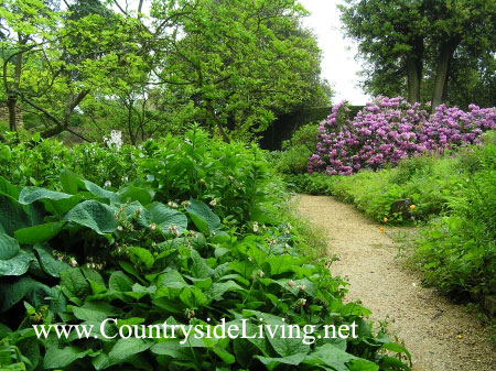Естественный, природный сад. Фрагмент сада при усадьбе Хидкот (г-во Глостершир, Англия) 